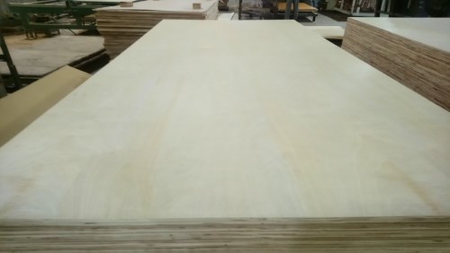 White birch plywood